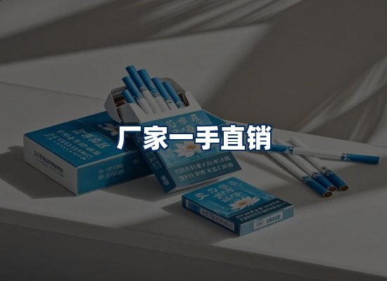 专业团队办公环境